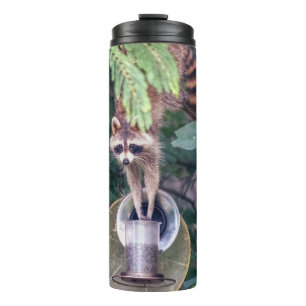 Raccoon Raiding the Bird Feeder Thermosbecher