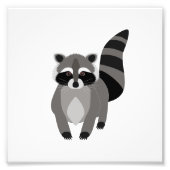Raccoon Rascal Fotodruck (Vorne)