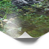 Raccoon Reflection Fotodruck (Ecke)