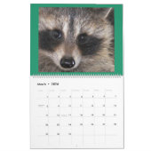 Raccoon Rescue & Release bei Wild Blue Yonder 2019 Kalender (Mär 2026)