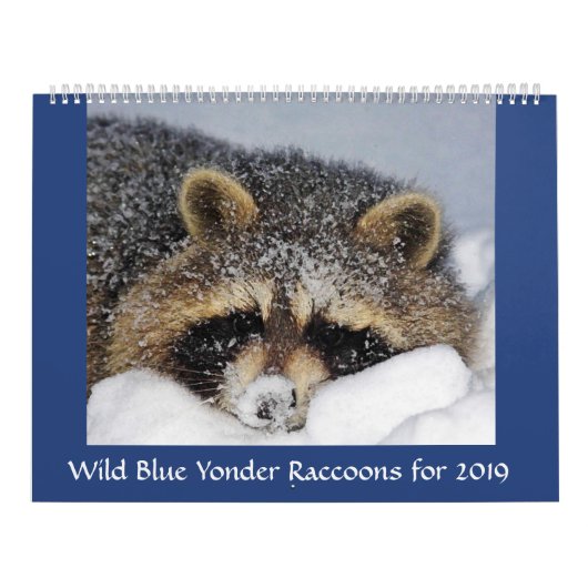 Raccoon Rescue & Release bei Wild Blue Yonder 2019 Kalender (Titelbild)