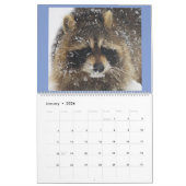 Raccoon Rescue & Release bei Wild Blue Yonder 2019 Kalender (Jan 2026)