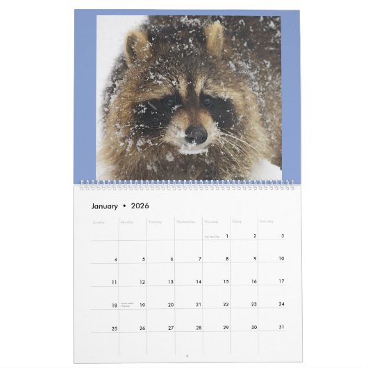Raccoon Rescue & Release bei Wild Blue Yonder 2019 Kalender (Jan 2026)