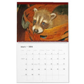 Raccoon Rescue & Release bei Wild Blue Yonder 2023 Kalender (Mär 2026)