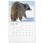 Raccoon Rescue & Release bei Wild Blue Yonder 2023 Kalender (Feb 2026)