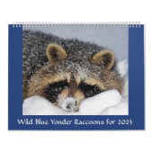 Raccoon Rescue & Release bei Wild Blue Yonder 2023 Kalender (Titelbild)