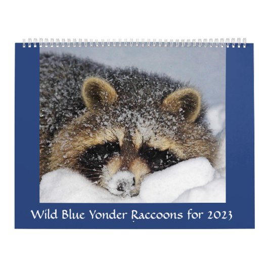 Raccoon Rescue & Release bei Wild Blue Yonder 2023 Kalender (Titelbild)