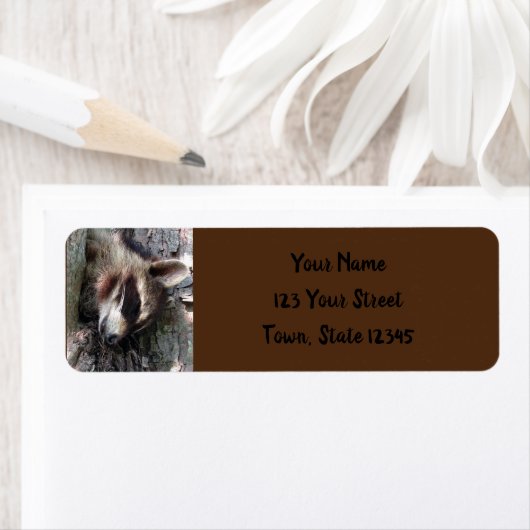 Raccoon-Rücksendeadresse (Insitu)