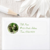 Raccoon-Rücksendeadresse (Insitu)