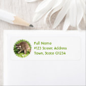 Raccoon-Rücksendeadresse-Postleitzahl (Insitu)