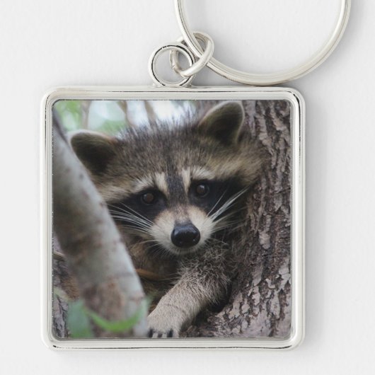 Raccoon Schlüsselanhänger (Vorne)