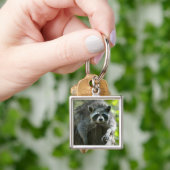 Raccoon-Schlüsselanhänger Schlüsselanhänger (Hand)