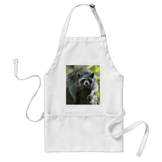Raccoon Schürze (Vorne)