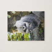 Raccoon Schwimmen im Wasser Puzzle (Horizontal)