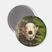 Raccoon Skull Altes Holz mit Farne und rote Monard Magnet (Vorderseite/Rückseite)