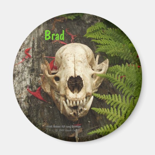 Raccoon Skull Altes Holz mit Farne und rote Monard Magnet (Vorne)