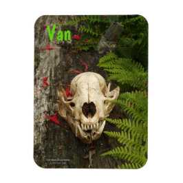 Raccoon Skull Altes Holz mit Farne und rote Monard Magnet