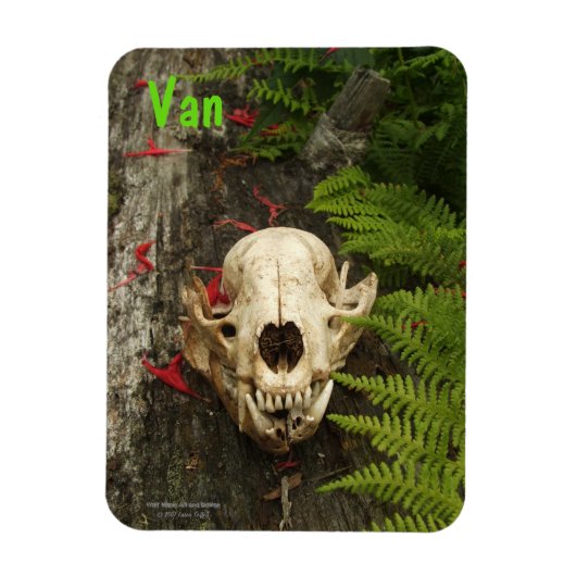 Raccoon Skull Altes Holz mit Farne und rote Monard Magnet (Vertikal)