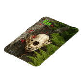 Raccoon Skull Altes Holz mit Farne und rote Monard Magnet (Linke Seite)