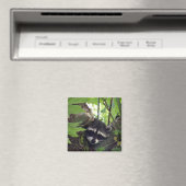 Raccoon sqr. magnet (In Situ (Geschirrspüler))