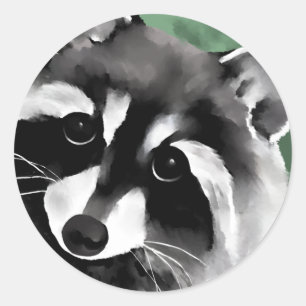 Raccoon Stickers