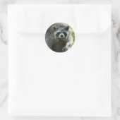 Raccoon Stickers (Tasche)
