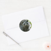 Raccoon Stickers (Umschlag)