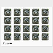 Raccoon Stickers (Blatt)
