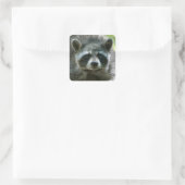Raccoon Stickers (Tasche)
