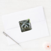 Raccoon Stickers (Umschlag)