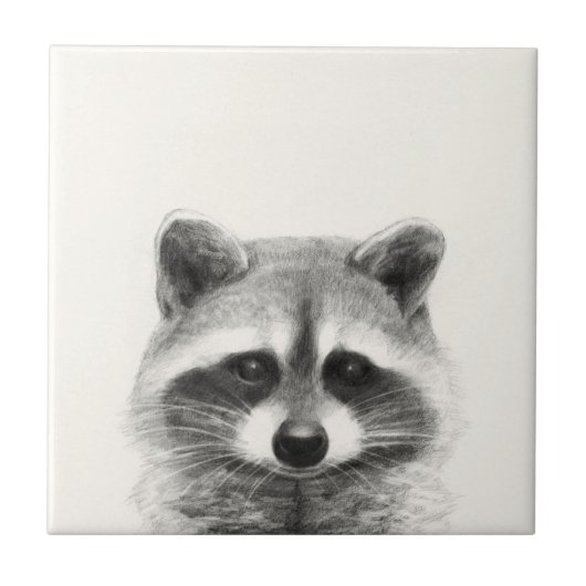 Raccoon-Stift Zeichne Fliese (Vorderseite)
