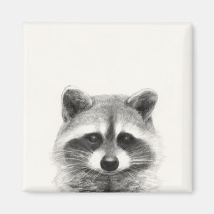 Raccoon-Stift Zeichne Magnet