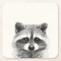 Raccoon-Stift Zeichne