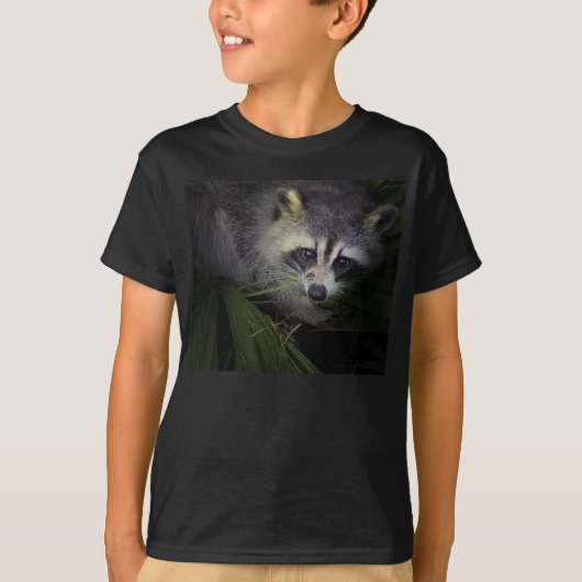 Raccoon-T - Shirt (Vorderseite)