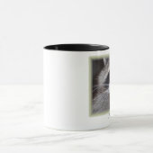 Raccoon-Tasse - Procyon lotor Tasse (Zentrum)