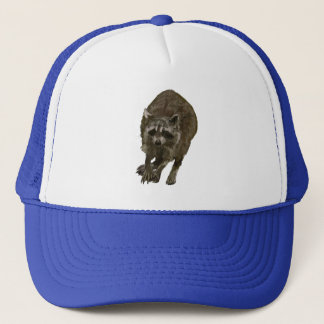 Raccoon Truckerkappe