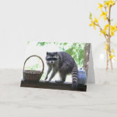 Raccoon und Cookie Jar Karte (Gelbe Blume)