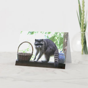Raccoon und Cookie Jar Karte