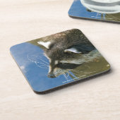 Raccoon Untersetzer (Linke Seite)