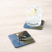 Raccoon Untersetzer (Rechte Seite)