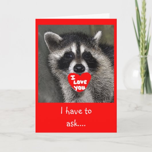 Raccoon-Valentinstag-Karte Feiertagskarte (Vorderseite)
