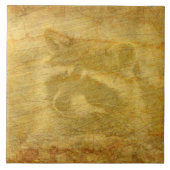 Raccoon Vintag Fliese (Vorderseite)