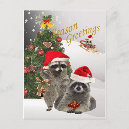 Raccoon Weihnachten eine Zeit zum Spaß (Vorderseite)