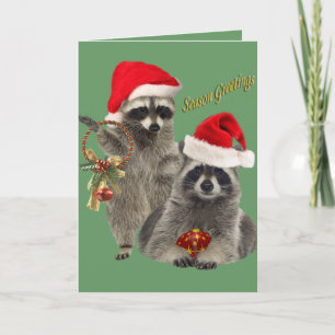 Raccoon Weihnachten eine Zeit zum Spaß
