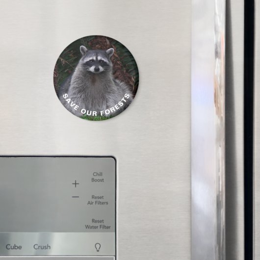Raccoon Wildlife Foto Foservation Magnet (In Situ (Kühlschrank))
