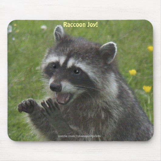 RACCOON WILDLIFE glückliche Mousepads (Vorne)