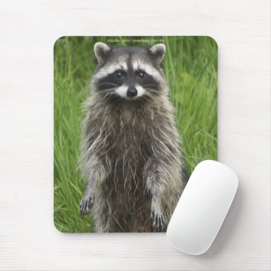 RACCOON WILDLIFE Mousepads (Mit Mouse)