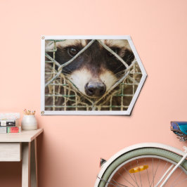 Raccoon Wimpel