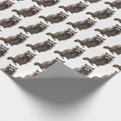 Raccoon Wrapping Paper Roll Geschenkpapier (Ecke)