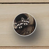 Raccoons Brown Niedlich Tree Keramikknauf